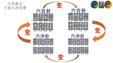 家裡種 夜來香 好 嗎 六合卦有哪些